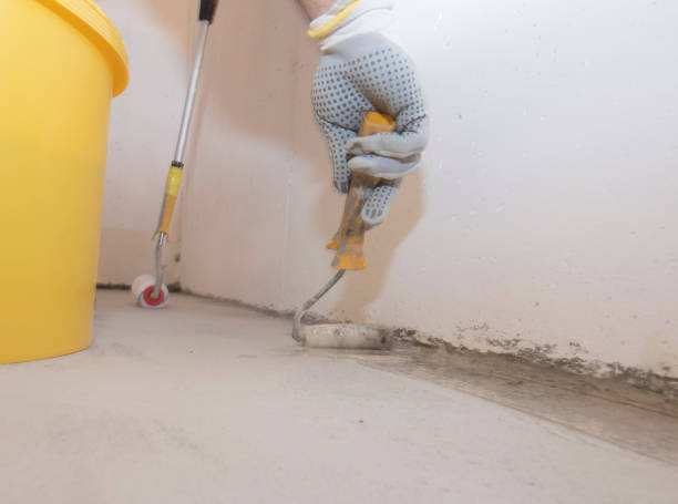 Best Residential Pest Control  in Grayslake, IL